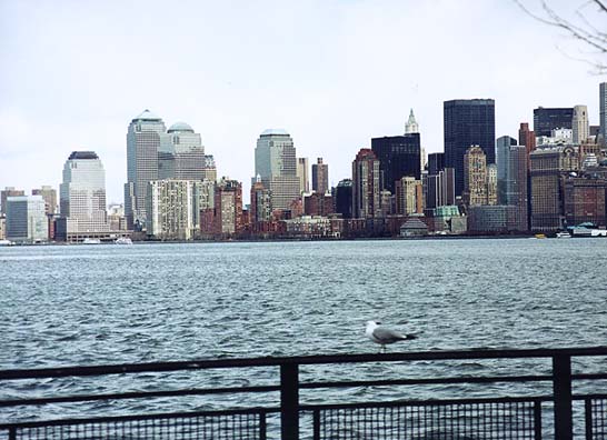 New York Skyline