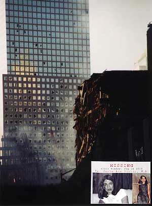 World Trade Center Destruction